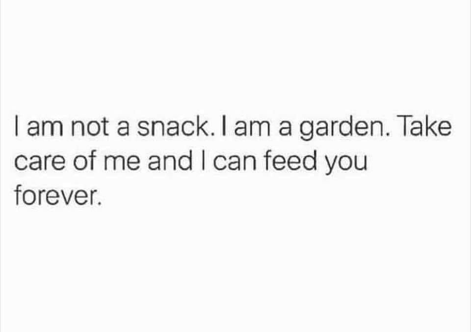 This meme is a humorous take on the common phrase "I'm not a food, I'm a person." The text reads: "I am not a snack. I am a garden. Take care of me and I can feed you forever." The meme pokes fun at the idea that people often treat others like they're a snack or a meal, rather than a person with needs and feelings.